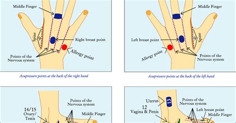 After 10 weeks (4 weeks after the study ended): 56. . Acupressure points to increase breast size